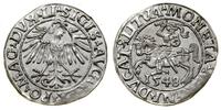 Polska, półgrosz, 1548