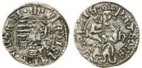 Węgry, denar, bez daty (1500–1502)