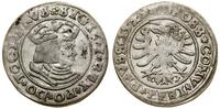Polska, grosz, 1529