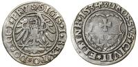 Polska, grosz, 1534