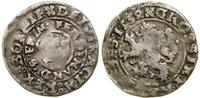 Czechy, grosz praski, 1534