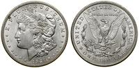 Stany Zjednoczone Ameryki (USA), 1 dolar, 1921 D