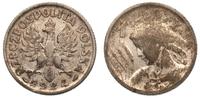 1 złoty 1924, Paryż, Kobieta z Kłosami, patyna, 