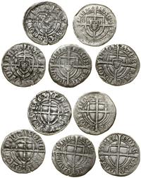 Zakon Krzyżacki, zestaw 5 x szeląg