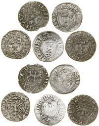 Polska, zestaw 5 x szeląg