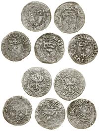 Polska, zestaw 5 x szeląg