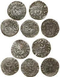 Polska, zestaw 5 x szeląg