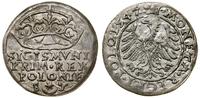 Polska, grosz, 1547