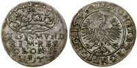 Polska, grosz, 1546