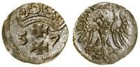 Polska, denar, 1557
