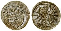 Polska, denar, 1556