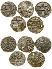Prusy Książęce (1525–1657), lot 5 x denar, bez daty