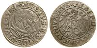 Prusy Książęce (1525–1657), grosz, 1534