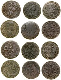 Polska, zestaw 6 szelągów miedzianych (boratynek)