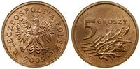 Polska, 5 groszy, 2005