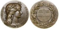 Francja, medal pamiątkowy, 1922