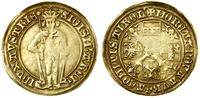 Austria, goldgulden, bez daty (1483–1496)