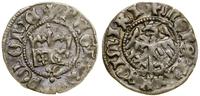 Polska, półgrosz koronny, bez daty