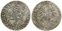 Polska, półgrosz, 1562
