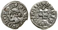 Polska, denar, (ok. 1358–1366)