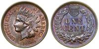 Stany Zjednoczone Ameryki (USA), 1 cent, 1905