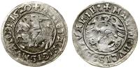 Polska, półgrosz, 1520