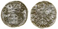 Polska, denar, 1557