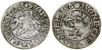 Polska, szeląg, 1546