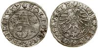 Prusy Książęce (1525–1657), szeląg, 1557