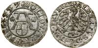 Prusy Książęce (1525–1657), szeląg, 1557