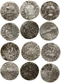 Polska, zestaw 6 x półgrosz