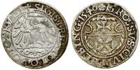 Polska, grosz, 1540