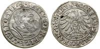 Prusy Książęce (1525–1657), grosz, 1531