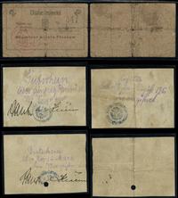 Wielkopolska, zestaw 3 banknotów, 1919