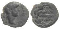 AE-brąz, Petra, Aw: Popiersie cesarza Hadriana w