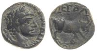 AE-brąz, Petra, Aw: Popiersie cesarza Elagabala 