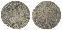 grosz pruski 1534, Toruń, lekko wyszczerbiony kr