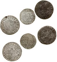 Prusy Książęce (1525–1657), zestaw 3 monet