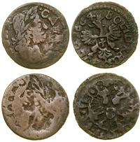 Polska, zestaw: 2 x szeląg miedziany (boratynka)