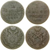 Polska, zestaw: 2 x 1 grosz polski z miedzi krajowej, 1825–1830