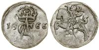 Polska, dwudenar, 1566