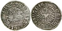 Polska, półgrosz, 1509