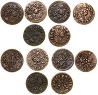 Polska, zestaw 6 szelągów miedzianych, 1660–1665