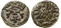 Polska, denar, 1555