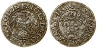Polska, szeląg, 1546