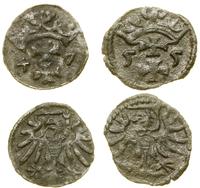 Polska, zestaw: 2 x denar, 1547–1555