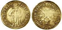 Austria, goldgulden, bez daty (1483–1496)