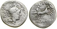 Republika Rzymska, denar, (101 pne)