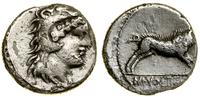 Republika Rzymska, denar, (78 pne)
