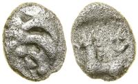 Celtowie, kwinar (Büschelquinar typu Manching), (ok. I w. pne)